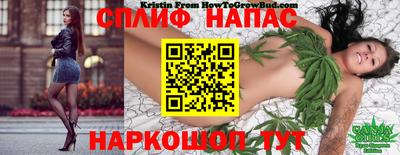 тгк Севастополь