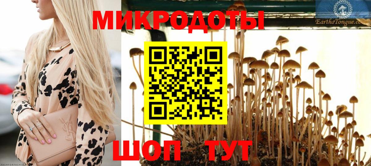 Псилоцибиновые грибы Magic Shrooms  Вход с VPN  Сатка 