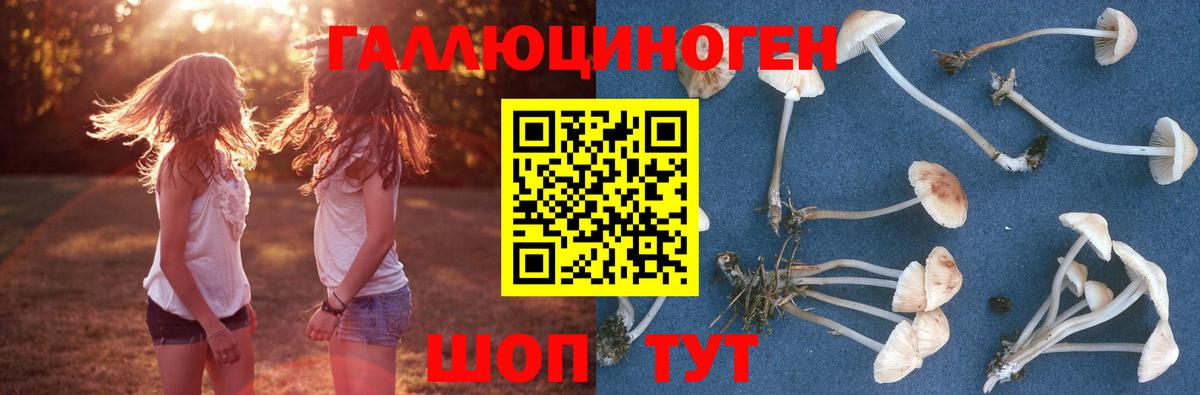 Галлюциногенные грибы мицелий Сатка